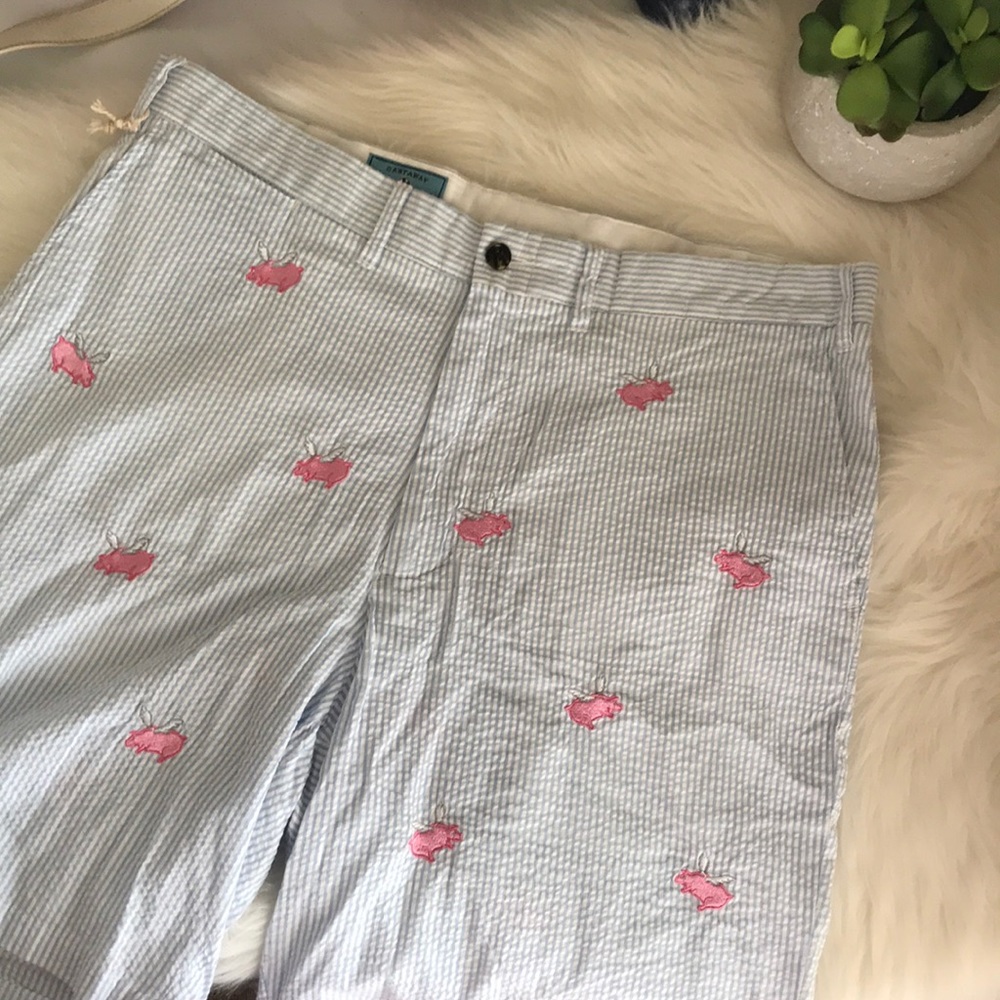 CASTAWAY Nantucket Island Pigs Fly Shorts
